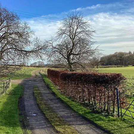 Stepping Gate *